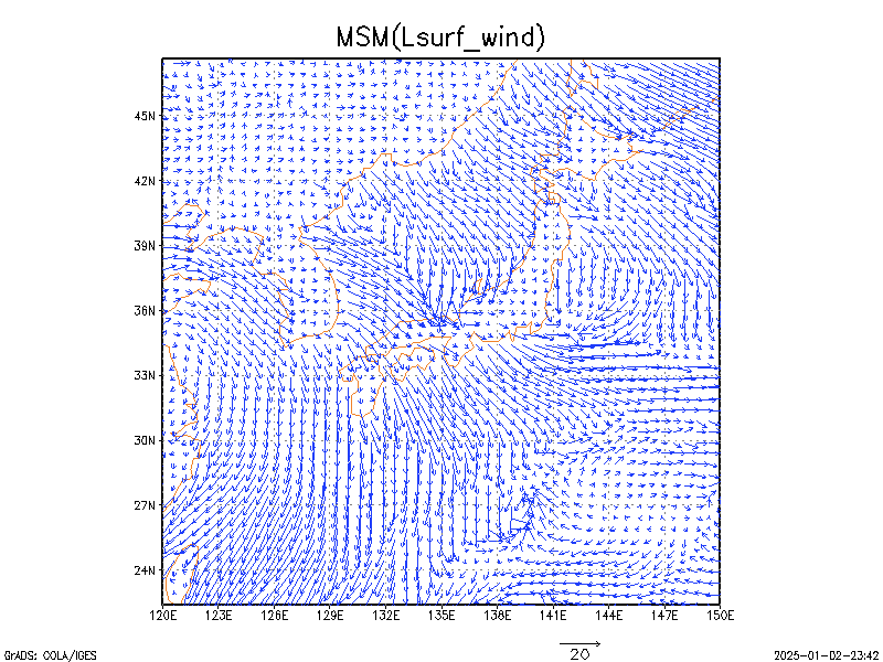 数値予報モデル MSM 地上風   予想図