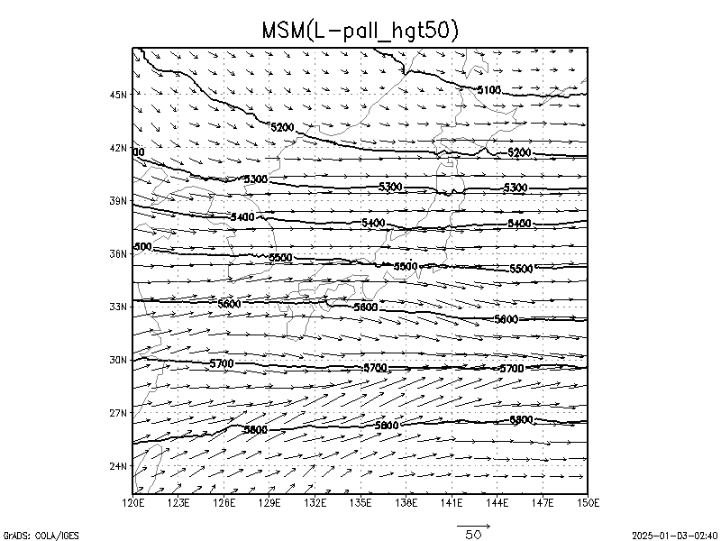 数値予報モデル MSM 500hPa 高度 予想図