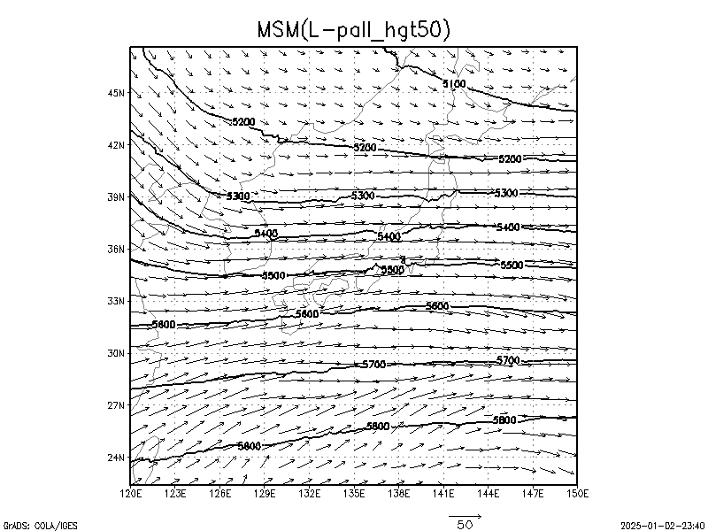 数値予報モデル MSM 500hPa 高度 予想図