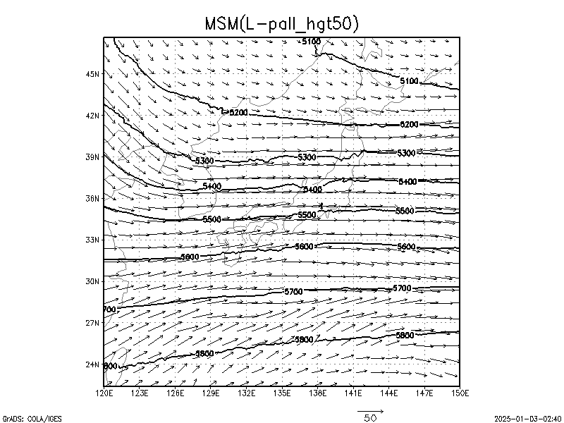 数値予報モデル MSM 500hPa 高度 予想図